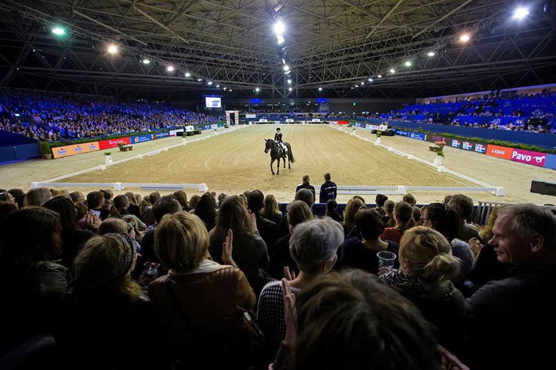 Severo Jurado, Borja Carrascosa y Manuel Fernández Saro en el CDI-W y CSI4* de Ámsterdam

ociocaballo.com/2017/01/severo…