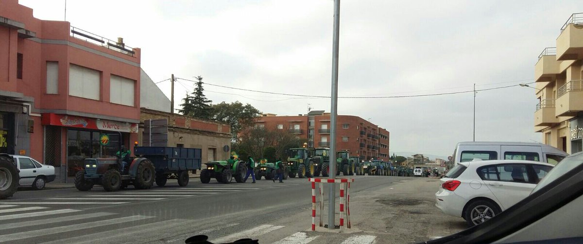 En #marxapagesa! La columna Ponent arribarà avui a #Cervera, la d'Ebre-Tgn al #Morell i la de Girona a #Vidreres marxapagesa.cat