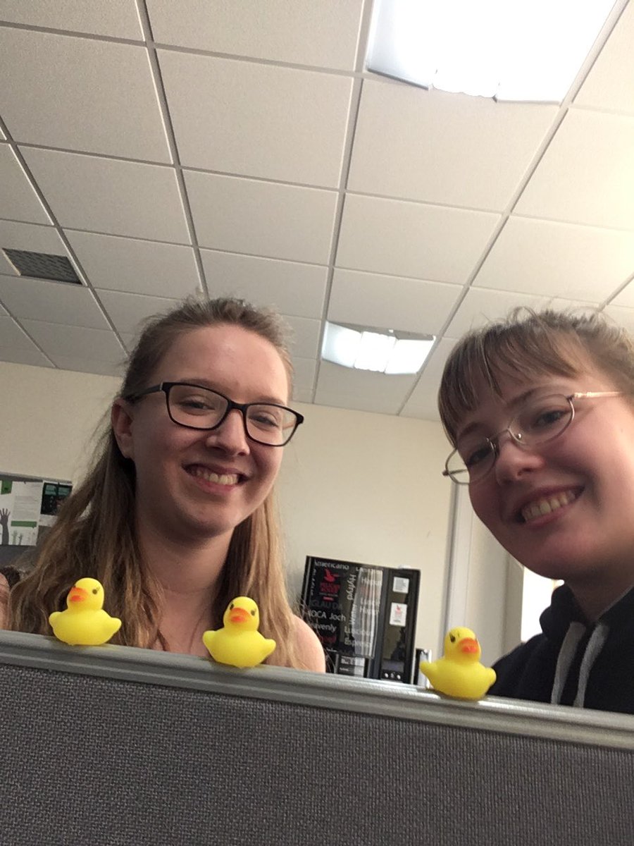 abermooting's tweet photo. Recruited some duckies for mooting #AberNSS https://t.co/F0cJNsndHy