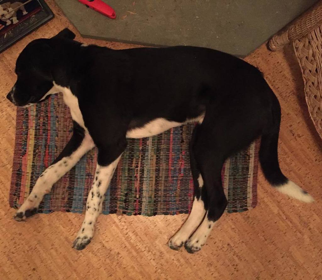 edibleusable's tweet photo. #Leggy #borador #tw https://t.co/SME2uLJMAK