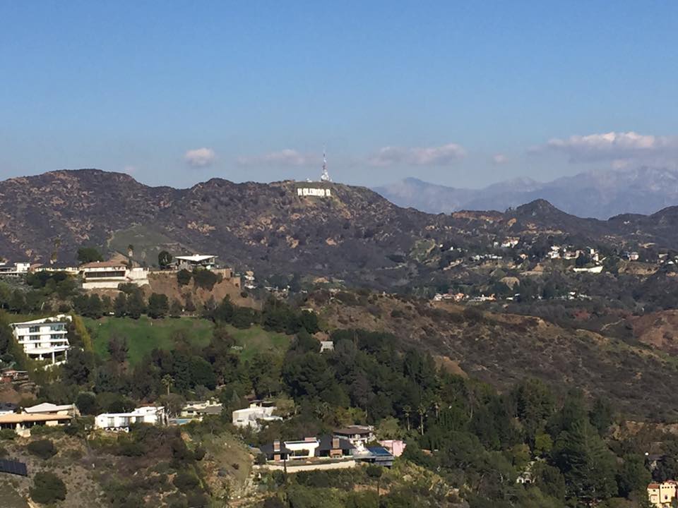 ActivCanvas's tweet photo. Enjoying some sweet views in LA before the @startupartfair kicks off tomorrow. Download the app to preview amazing art! #Hollywood #ArtTech https://t.co/quaZ4JcB6p
