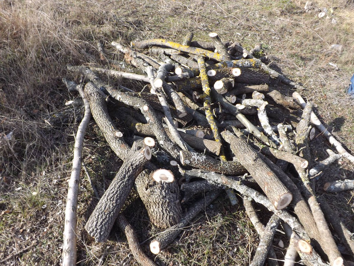 KrimRt's tweet photo. Началось уничтожение исторического мусульманского кладбища Гурзуф-азиз по приказу руководства Артека !
https://t.co/fqa5XROjjC https://t.co/BeOGy5xTus