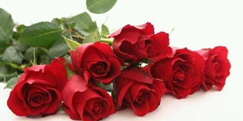 LopFirst's tweet image. 