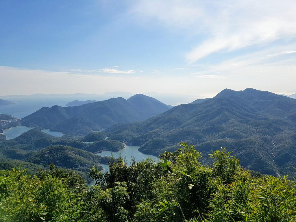 LopFirst's tweet image. 