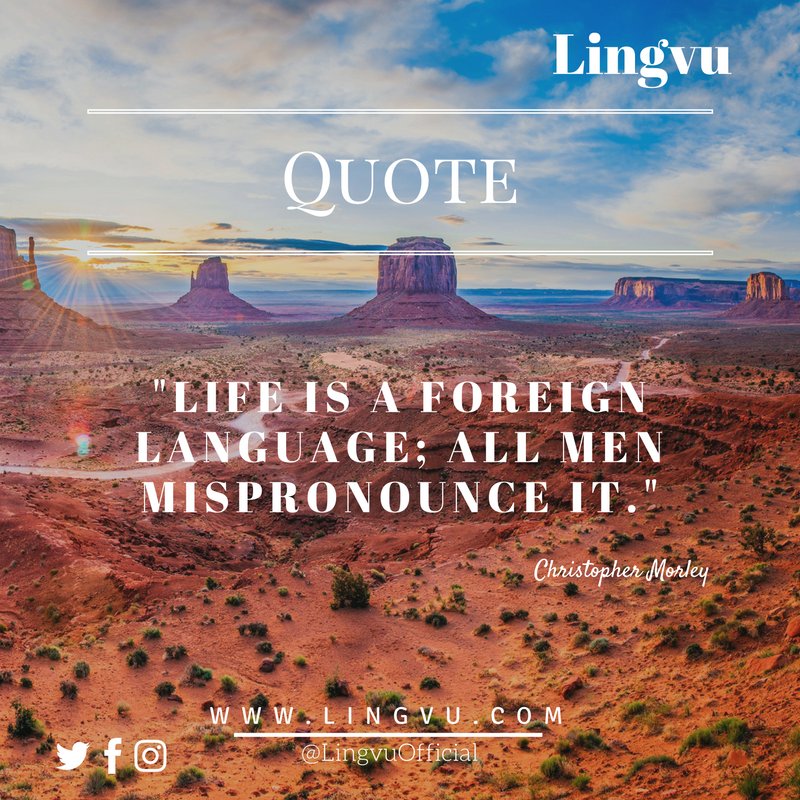 lingvuofficial's tweet photo. Quote of the day. 😀😊 https://t.co/2GNqpRoUW5