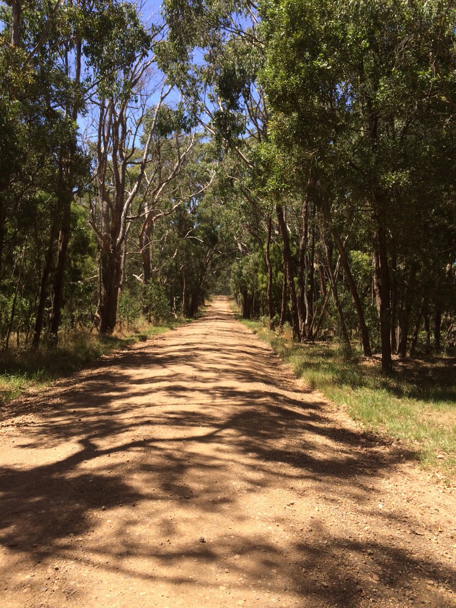 TruthDevour_'s tweet image. ✨Wantin Production Location scout: Walking toward destiny scene. ✨

#Wantin #truthdevour #movienews #AuthorLife