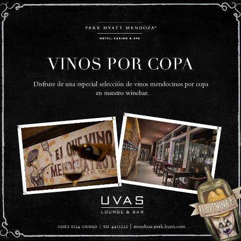 Mendoza Eventos tweet media