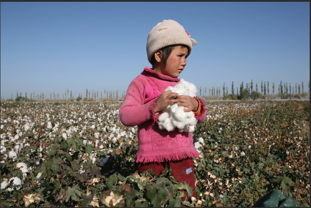 buyimpossible's tweet photo. Great interactive @GuardianLabs on child labour within fashion supply chains, and what brands can do to combat it! https://t.co/24XgXJOBWL https://t.co/oXKMSW4c6A