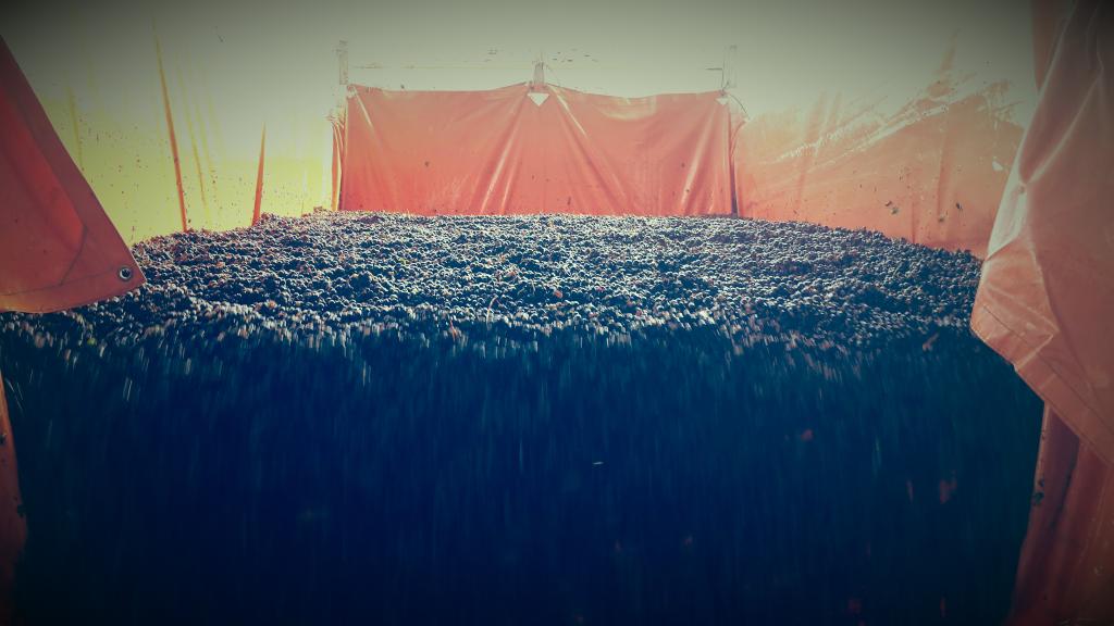 charlytos22's tweet photo. A ver como nos sorprendes Malbec!! #bodegasetchart #cafayate https://t.co/zKluvGFugr