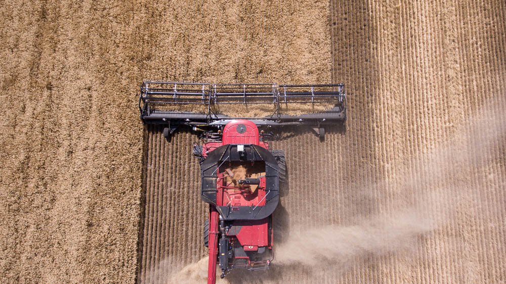 Geringhoff's tweet image. If you have low growing crops, you need the Geringhoff TruFlex Razor ghoff.co/2hlQO9w #harvest #truflexrazor