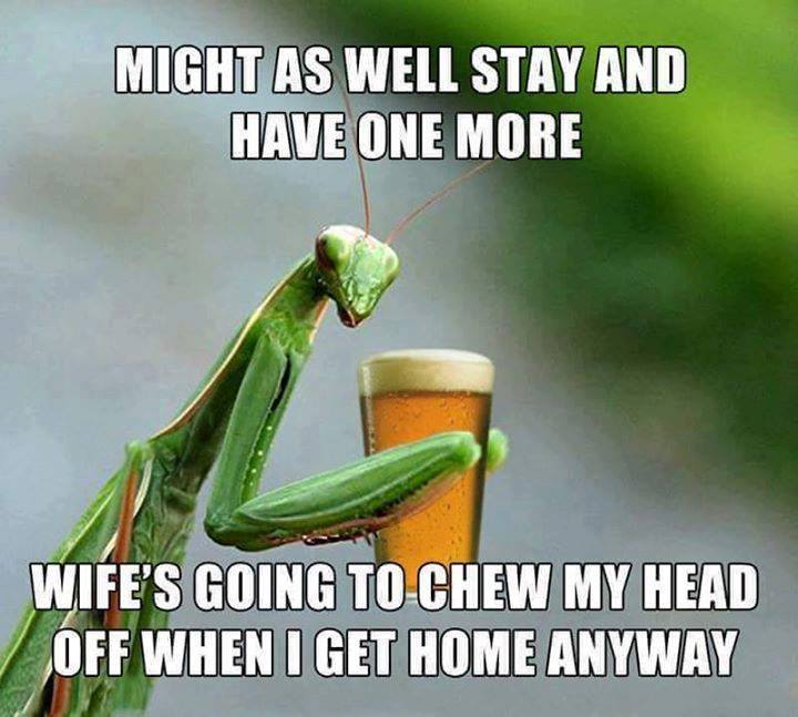 Ark Wildlife Limited (@arkwildlife) on Twitter photo Beer and natural history humour, nothing better lol :) #humour #funny #insect #JokeoftheDay <a href="/TheGoatCodicote/">The Goat Inn</a> Beer and natural history humour, nothing better lol :) #humour #funny #insect #JokeoftheDay <a href="/TheGoatCodicote/">The Goat Inn</a>