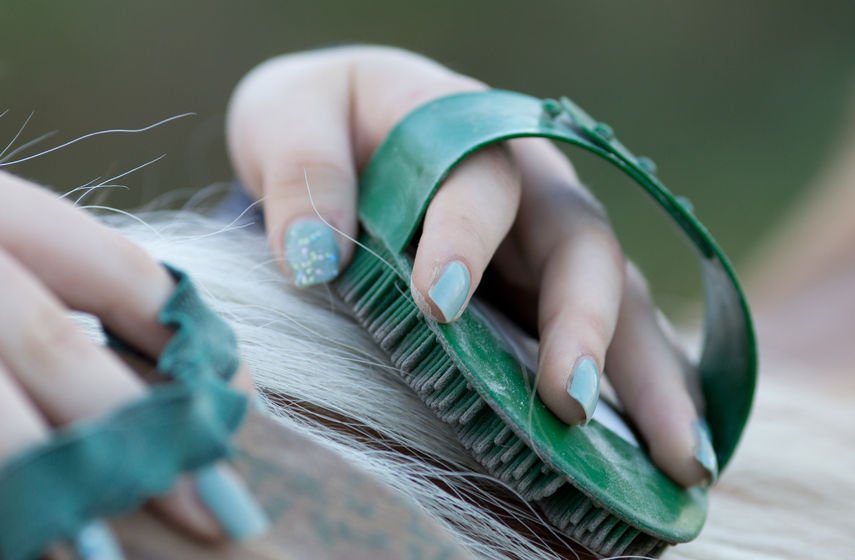 Wat kunnen we in 2018 wellicht zien #underdetoer? Plannenmakers vertellen! Nu: over een kerk-kam en paardenhaar! underdetoer.nl/tipje-van-de-s…