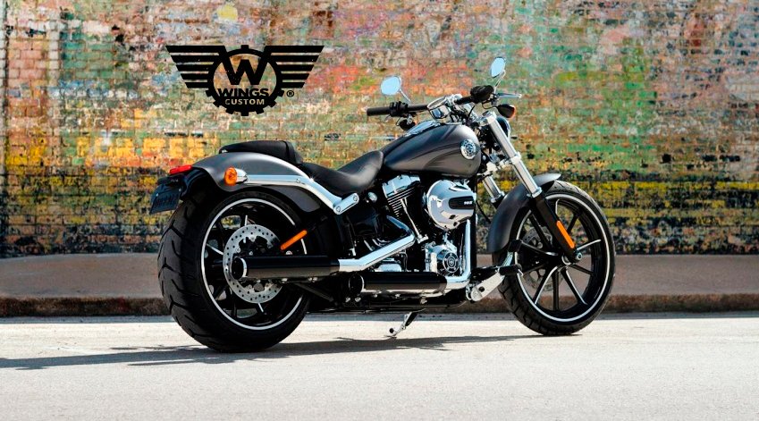 wingscustom1 tweet picture