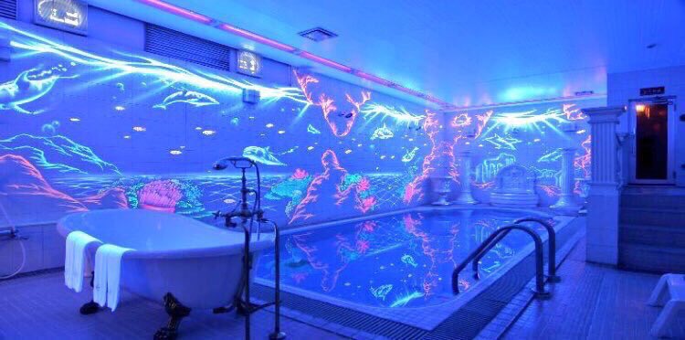 chonma_123's tweet photo. 生きてるうちにアリエルのホテルいきたい👸🐠🐚🐙 https://t.co/TPAAq9CZSx