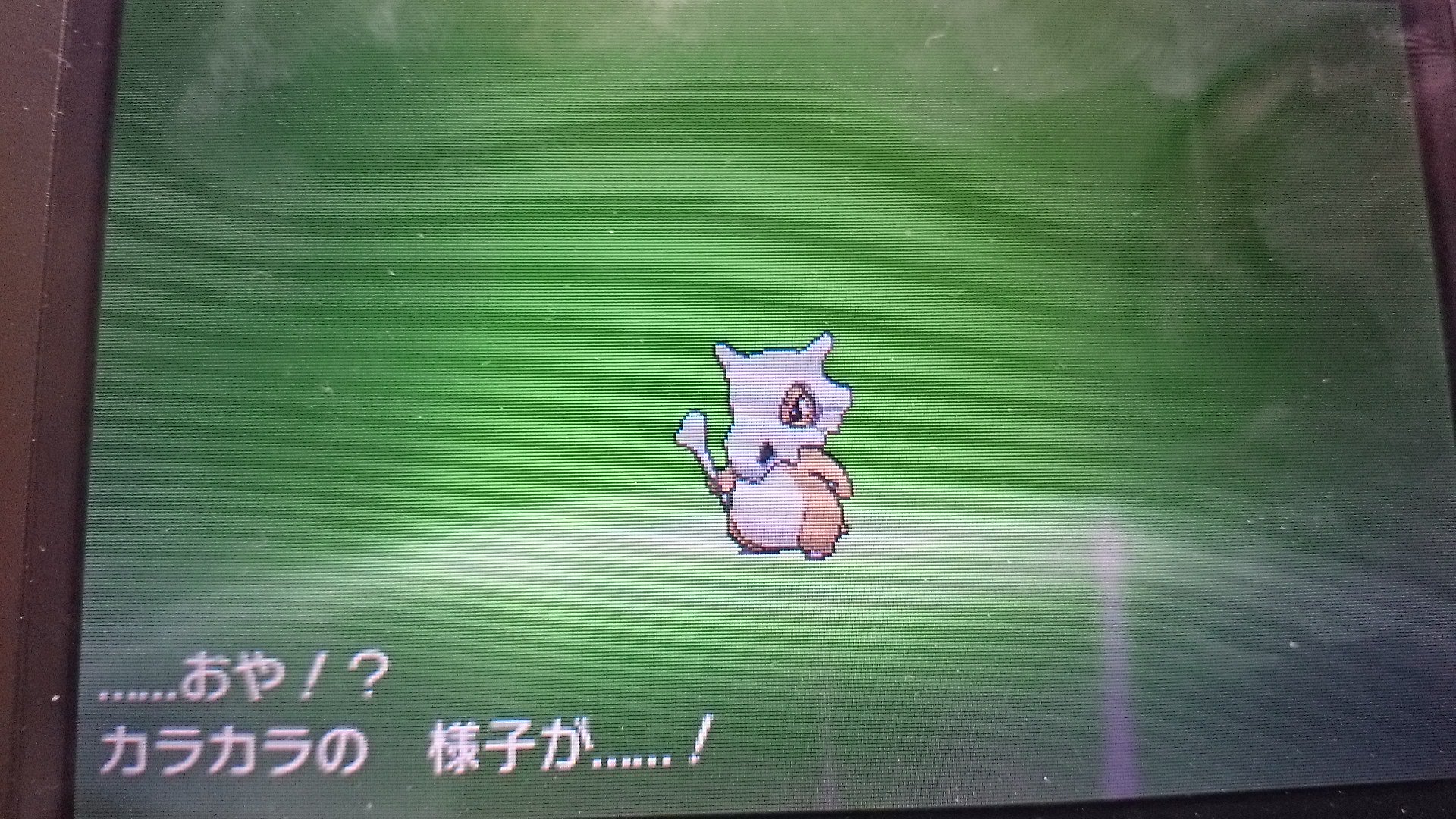 えどです 生物 ポケモン 子育て中 Twitterren カロスマークのカラカラがアローラの夜に進化するとアローラの姿になった つまり遺伝要因ではなく環境要因 T Co 7dxryyeuct Twitter