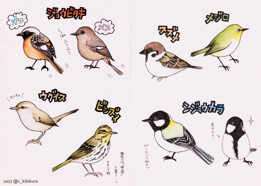 キビクラチサト Op Twitter 親が庭に来る鳥たちの名前を憶えないので 画用紙に描いたよ キツツキ科が1番なんか難しかった 本当はキジバトも 来るけど省いた ビンズイは 本当にビンズイなのか違う鳥なのかちょっと微妙かな もしかしたら他の鳥も来てるかもしれ キビクラチサト Op Twitter 親が庭に来る鳥たちの名前を憶えないので 画用紙に描いたよ キツツキ科が1番なんか難しかった 本当はキジバトも 来るけど省いた ビンズイは 本当にビンズイなのか違う鳥なのかちょっと微妙かな もしかしたら他の鳥も来てるかもしれ