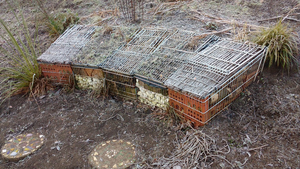 TCVNatNetworks's tweet photo. Lovely winters day in Edinburgh, and these rescued trolleys have been put to good use! Well done Figgate Park. https://t.co/DW41oRIz76