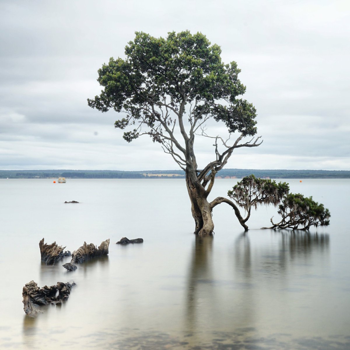 Monocosm's tweet photo. https://t.co/jxvI5G8r5c
Still Water.
•
📷 f/22 • 20 sec • ISO 100
•
#Australia #TenbyPoint #AustraliaDay #Photography #Travel #Australiagram https://t.co/cRu8fYrBzV