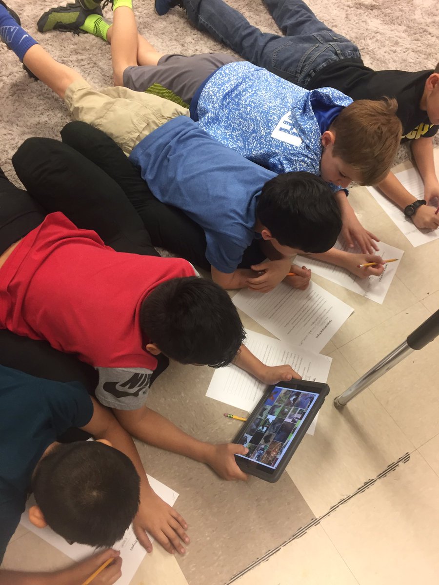 MrsCrouse4's tweet photo. We started our chicken research yesterday. Love these kids! Their love for learning makes me proud! #7breeds @SpicewoodE @JudieJenkins https://t.co/SACLpV2NFZ