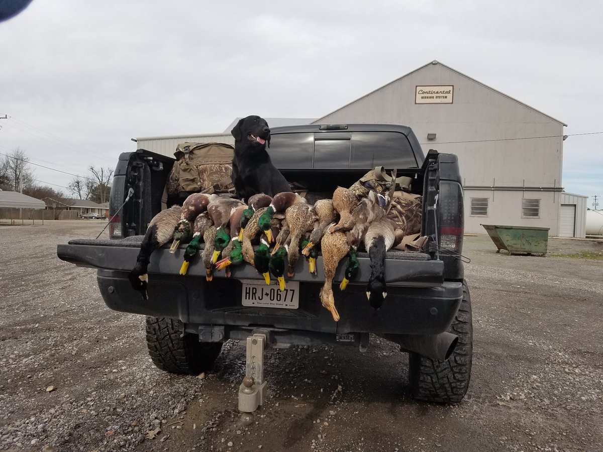 Premier_Calls's tweet photo. Wanna see how well the #FeatherShaker works?? #limits #greenheads #canadas #premiercustomcalls https://t.co/vq5AKDx7bQ