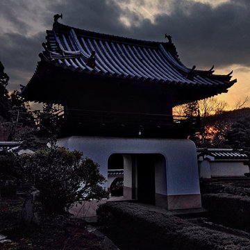 まるで名画 フェルメールっぽい木魚 の写真が話題 Iphoneで撮影 インターネットコム