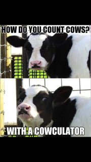 Stark_SWCD's tweet photo. Some humor for today! #StarkSWCD #SSWCD #Conservation #agriculture #Cows https://t.co/zJ56EsO3B0