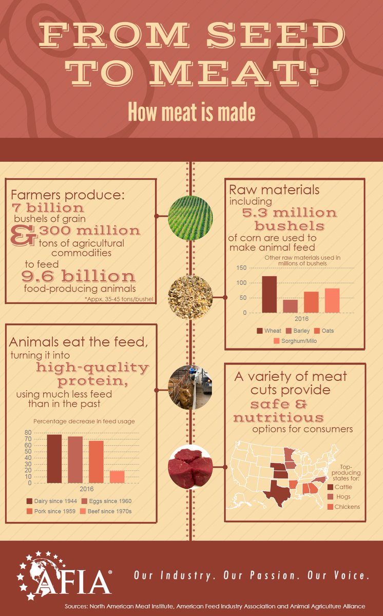 FeedFolks's tweet photo. In honor of #NationalMeatMonth, this graphic illustrates how meat gets from the seed to your plate. https://t.co/7BlRYUFqvk