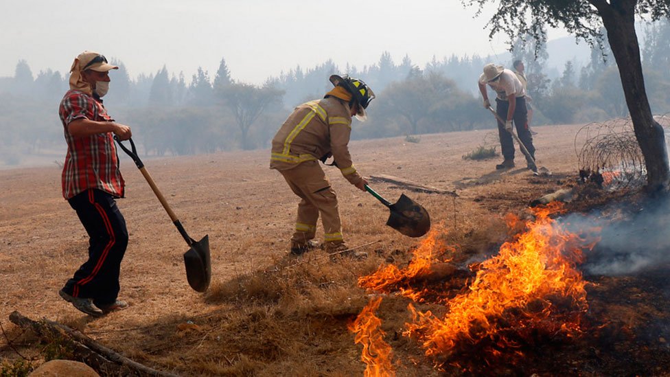 TVN's tweet image. Fuego no da tregua y amenaza nuevos sectores en la comuna de Hualañé, vecinos continúan la pelea #EmergenciaEnChile→ bit.ly/2k4rjuT
