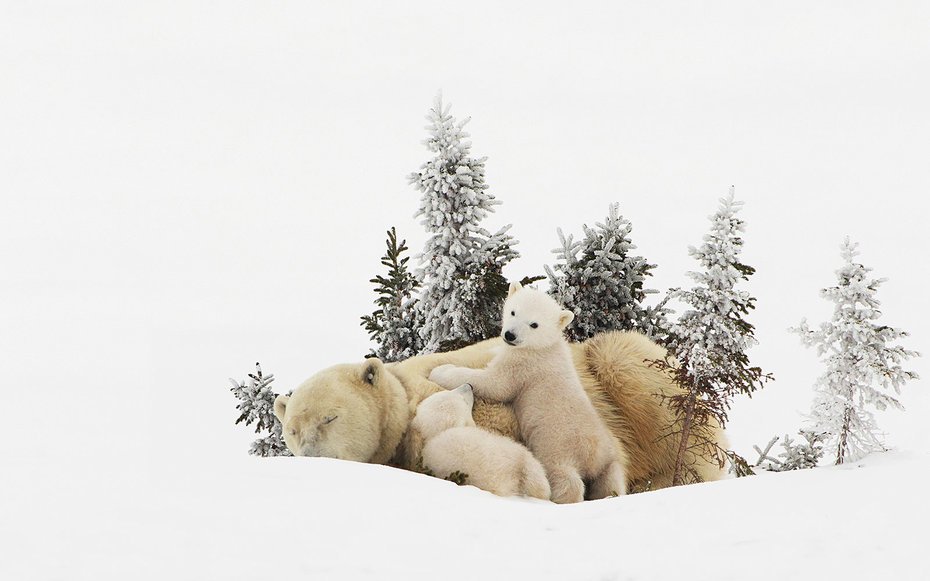 Moving2NS's tweet image. RT @explorecanada: Where to get a good night's sleep in our national parks @TravelLeisure ow.ly/UAzh308jXIc