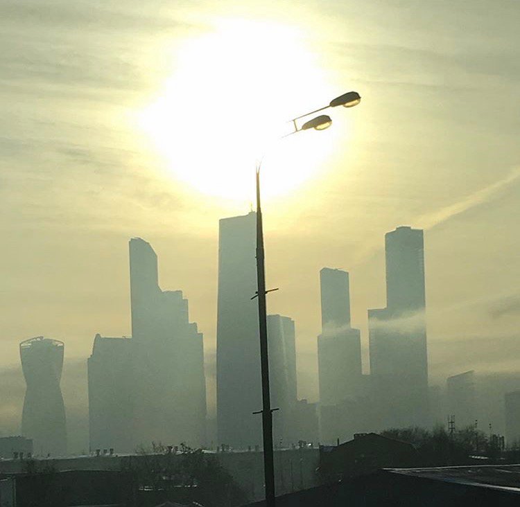 pelshTV's tweet image. 