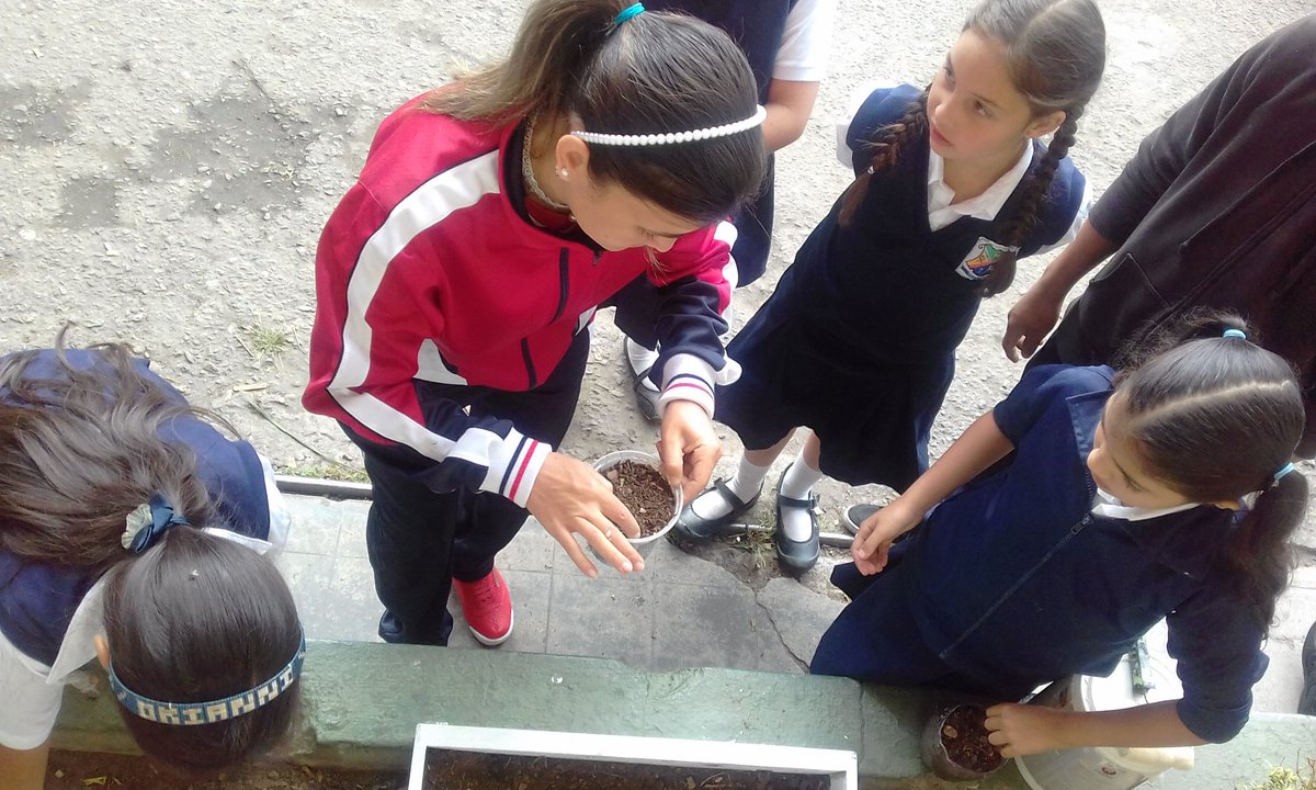 Así celebra Padre Maya el día de la educación ambiental #ManualidadesUtiles #JardinesCaseros #AmamosElAmbiente