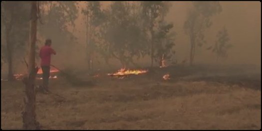 CNNChile's tweet photo. Alcalde de Hualañé: "Me parece tardía la reacción de la Pdta. Bachelet" https://t.co/6yw5NvIg9Q #CNNChile https://t.co/nxO0oxwj9E