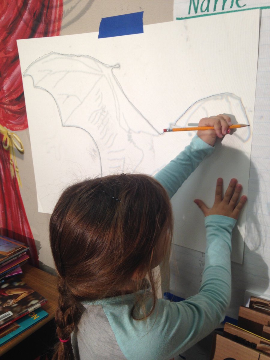 ParksideQUEST's tweet photo. 1st grade QUEST students using the overhead projector and painting to create rainforest animal costumes! https://t.co/OjGuPCguHR