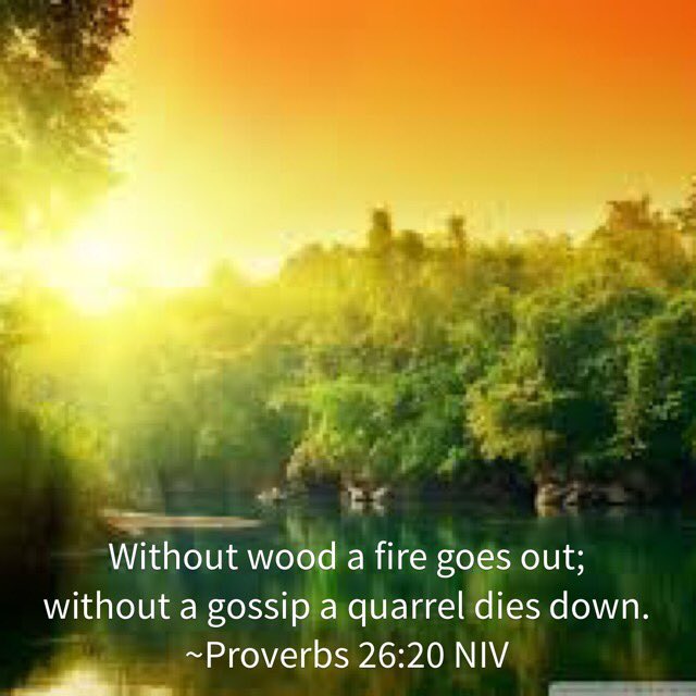 Daily_Proverbs's tweet photo. Without wood a fire goes out...

#Bible #Proverbs #Christian #God #Lord #Jesus #HolySpirit #wisdom #truth #NIV https://t.co/rJJ451bW6T