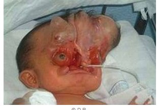 Excalibur57X's tweet photo. The Muslims don't want you #EnoughProblems #SpecialPlaceinHell
@madeleine look your job in #iraqi #killingbaby #MadeleineAlbright https://t.co/wWlvvBVT0a