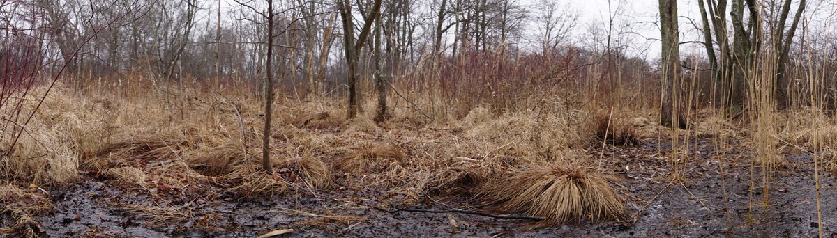 Follow <a href="/AltNatParkSer/">AltUSNatParkService</a> b/c the earth matters, science &amp; REAL facts matter, 1st amendment matters. <a href="/POTUS/">President Donald J. Trump</a>: drain your swamp, leave mine alone!