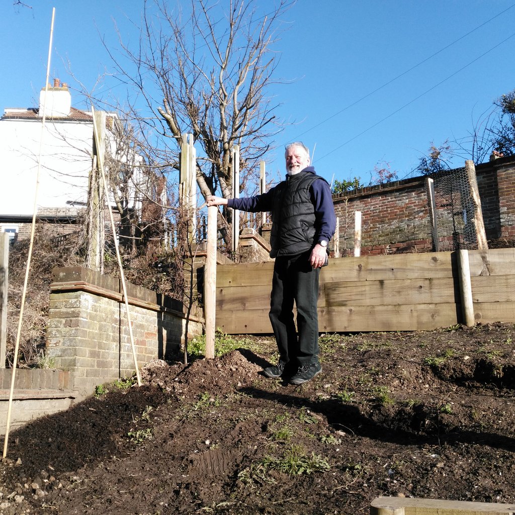 BrightonHops's tweet image. Three Target #hops planted in @thebevy back garden orchard, up the left slope...Peter posing. #beer #brighton #morethanpub Best wishes...