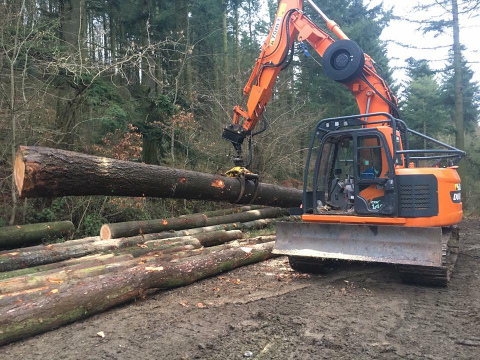 JasPWilson's tweet photo. #harvadig in action! #forestry #firewood #uk #forest #log https://t.co/yOCkZabG14