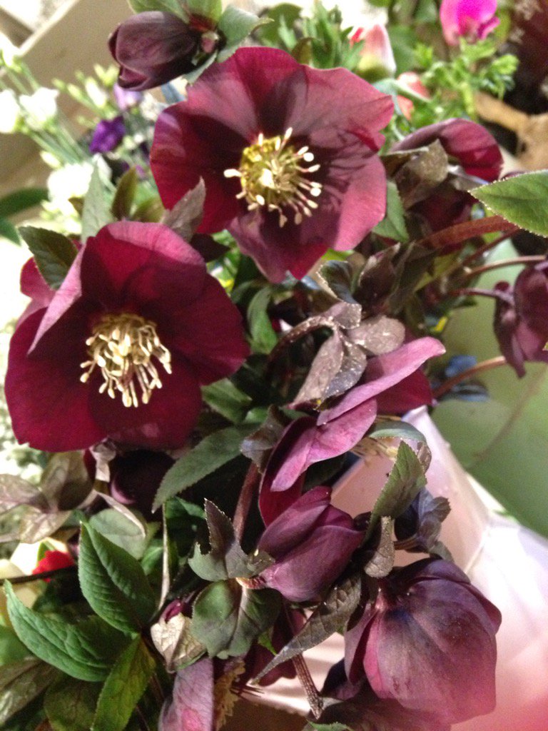 #fabulousFriday on its way why not #treatyourself or loved ones #FlowersHenley #ValentinesCollection