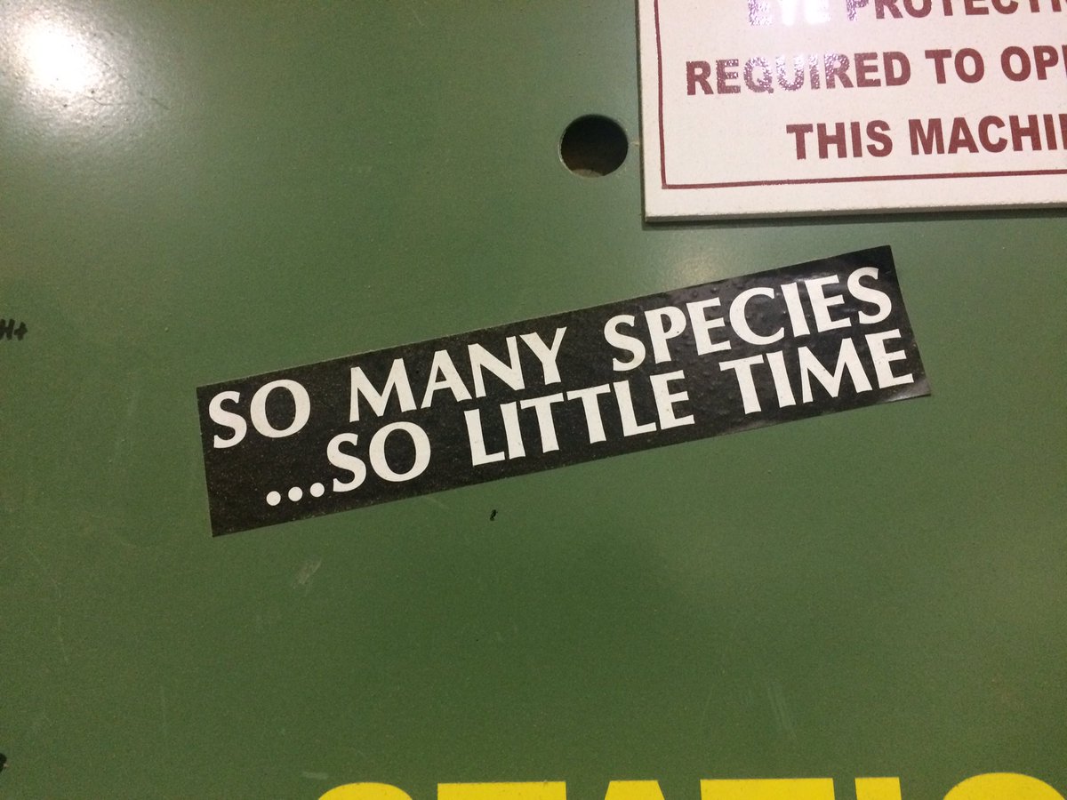 Carousel_Works's tweet image. Our #conservation #carousels help fund #zoo conservation programs around the world. They often feature #Endangered species on them.