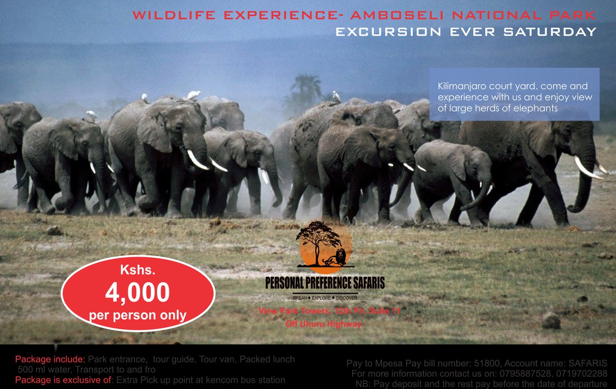Wildlife experience Amboseli National park excursion every Saturday. Kshs.4,000 per person, transport to and fro.