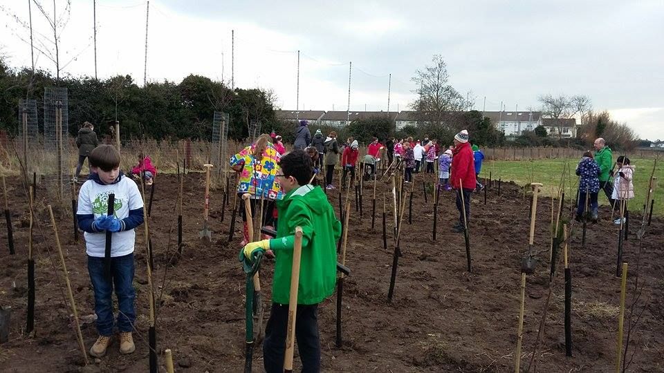 WoolyFarmIre's tweet image. Wooly Ward&apos;s Farm had a great time with St. Laurence School on Saturday! #PlantforthePlanet #TreebyTree #WoolyWardsFarm #Enviroment