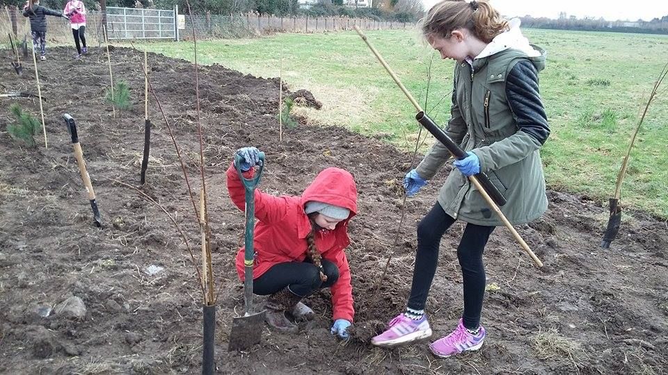 WoolyFarmIre's tweet image. Wooly Ward&apos;s Farm had a great time with St. Laurence School on Saturday! #PlantforthePlanet #TreebyTree #WoolyWardsFarm #Enviroment