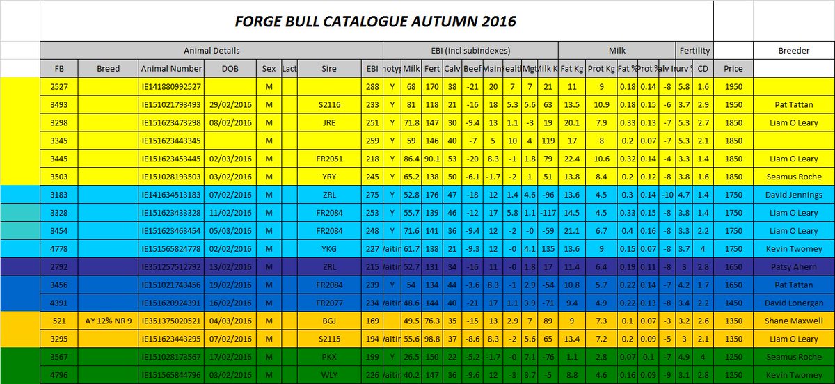Forge_Genetics's tweet image. You're running out of time to purchase one of our top quality stock bulls. Contact Grasstec on 086 8360285 before they're all gone!