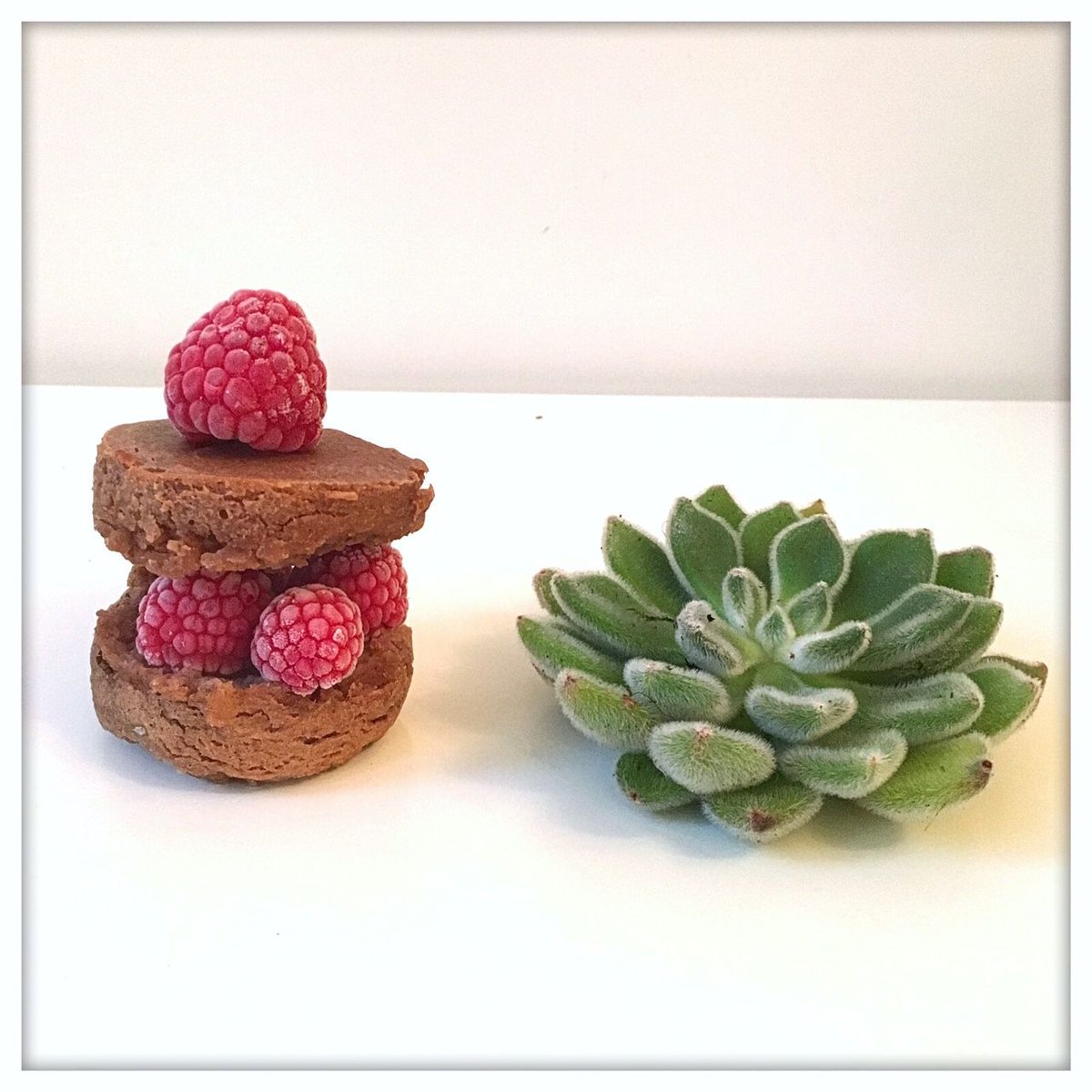 EASY BAKE with Elena! The 3rd in our series of Fit Foods is now live: buff.ly/2jijgqd #fitfam #hbloggers