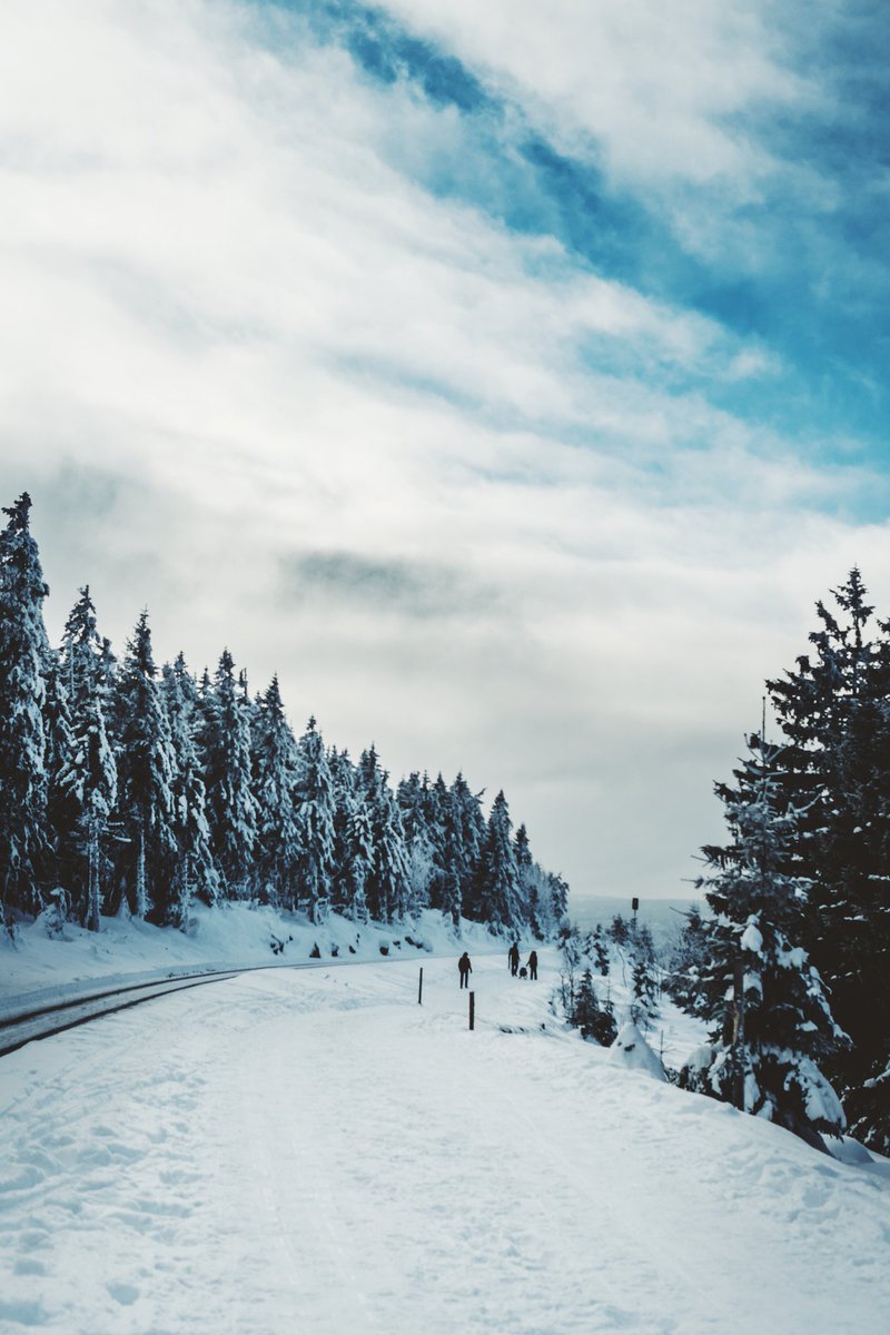 LukasLitt's tweet image. diese Bilder haben es zum Beispiel nicht in den "mein Tag in 4 Bildern" - Tweet geschafft..#sad 
#1like1Mitleid