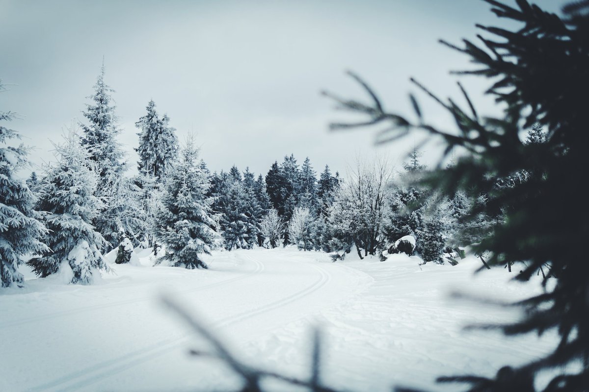 LukasLitt's tweet image. diese Bilder haben es zum Beispiel nicht in den "mein Tag in 4 Bildern" - Tweet geschafft..#sad 
#1like1Mitleid