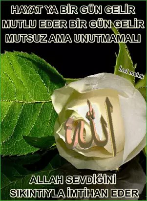 M salim YILDIZ (@2534yildiz) on Twitter photo 