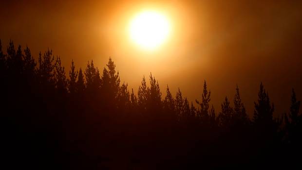 24HorasTVN's tweet image. #EmergenciaEnChile Ola de calor: El pronóstico para zonas afectadas por incendios → ebx.sh/2jjLzV9