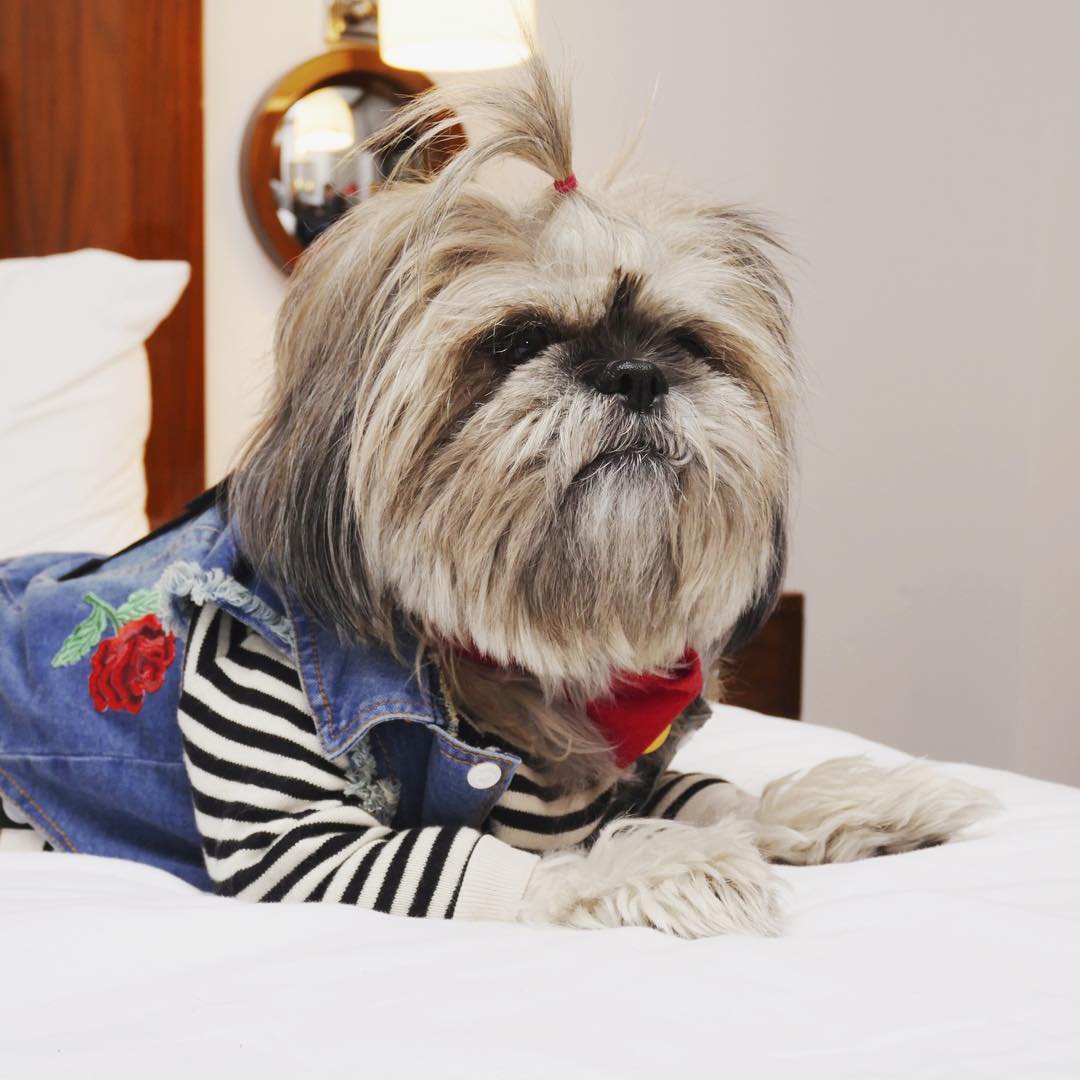 cafehugonyc's tweet photo. Dress code: fabulous. –– H.H. https://t.co/xHAEjkUxiP Photo: millymeeko https://t.co/YHmUiKcJZU